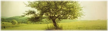...Infos zum Film Schwerelos ...Infos zum Film Schwerelos